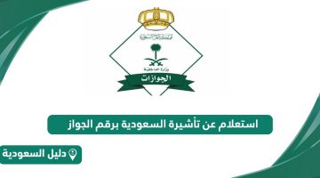 استعلام عن تأشيرة السعودية برقم الجواز او برقم الطلب